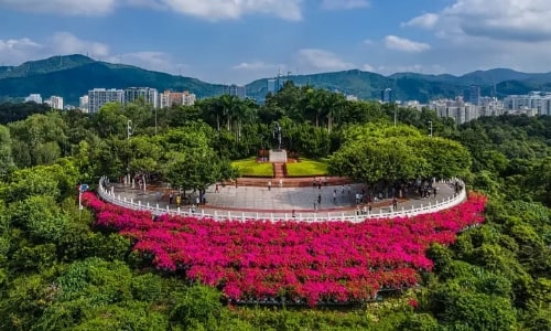 Lianhuashan Park-Shenzhen